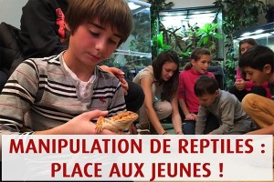 Manipulation de reptiles : place aux jeunes ! - Dimanche 13 février 2022